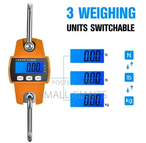 300kg Hanging Weight Scale