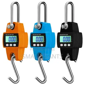 300kg Hanging Weight Scale