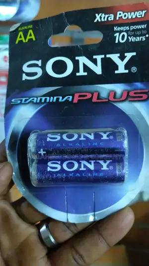 Sony Stamina Plus D Am1 Lr20 and Aaa Am4- B2d Battery