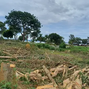 Very Beautiful Hot Plots With Lake View on Sale in Busabaala