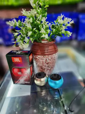 JBL M3 Mini Portable Speaker
