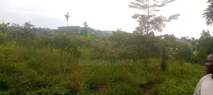 100/50, Land With Tittle at Mpigi 15 000,000 Million Each