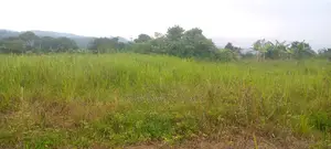 6 Acre Farm Land With Tittle at Buddo Kisozi 70 M Each
