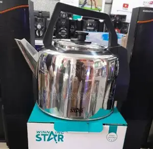 Best Electric Kettle Winning Star Brand 5L