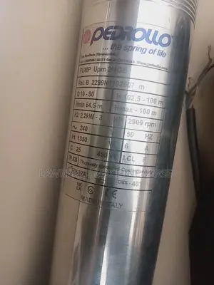 Water Pump 100m Pedrollo
