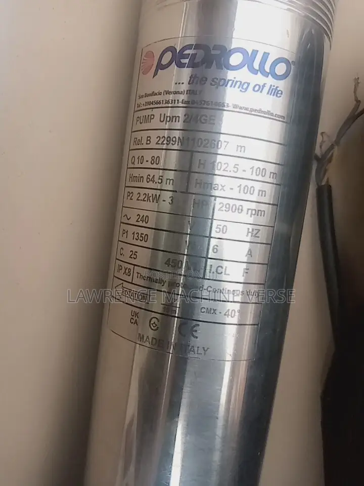 Water Pump 100m Pedrollo