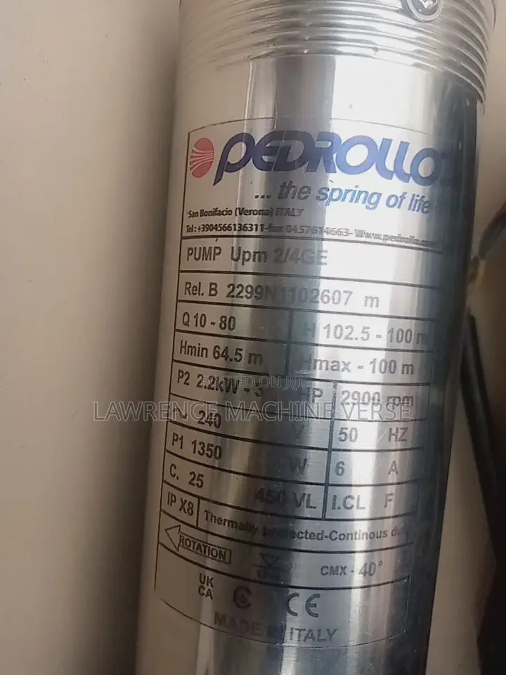 Water Pump 100m Pedrollo