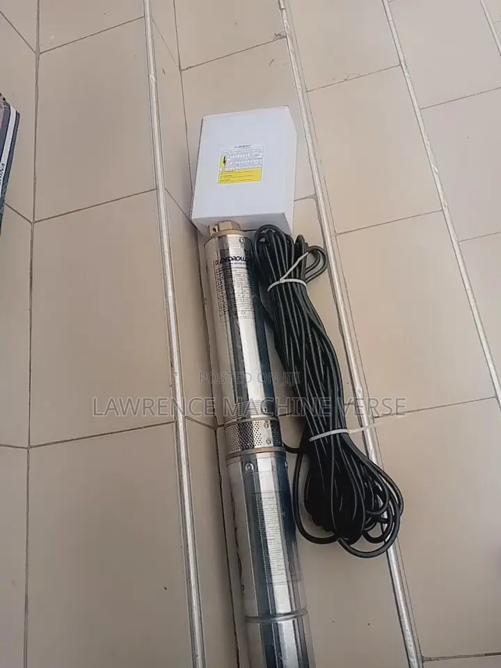 Water Pump 100m Pedrollo