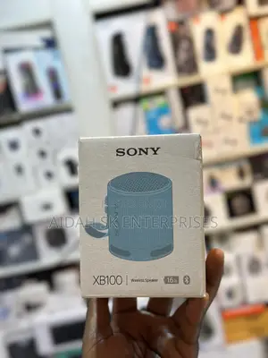 Sony XB100