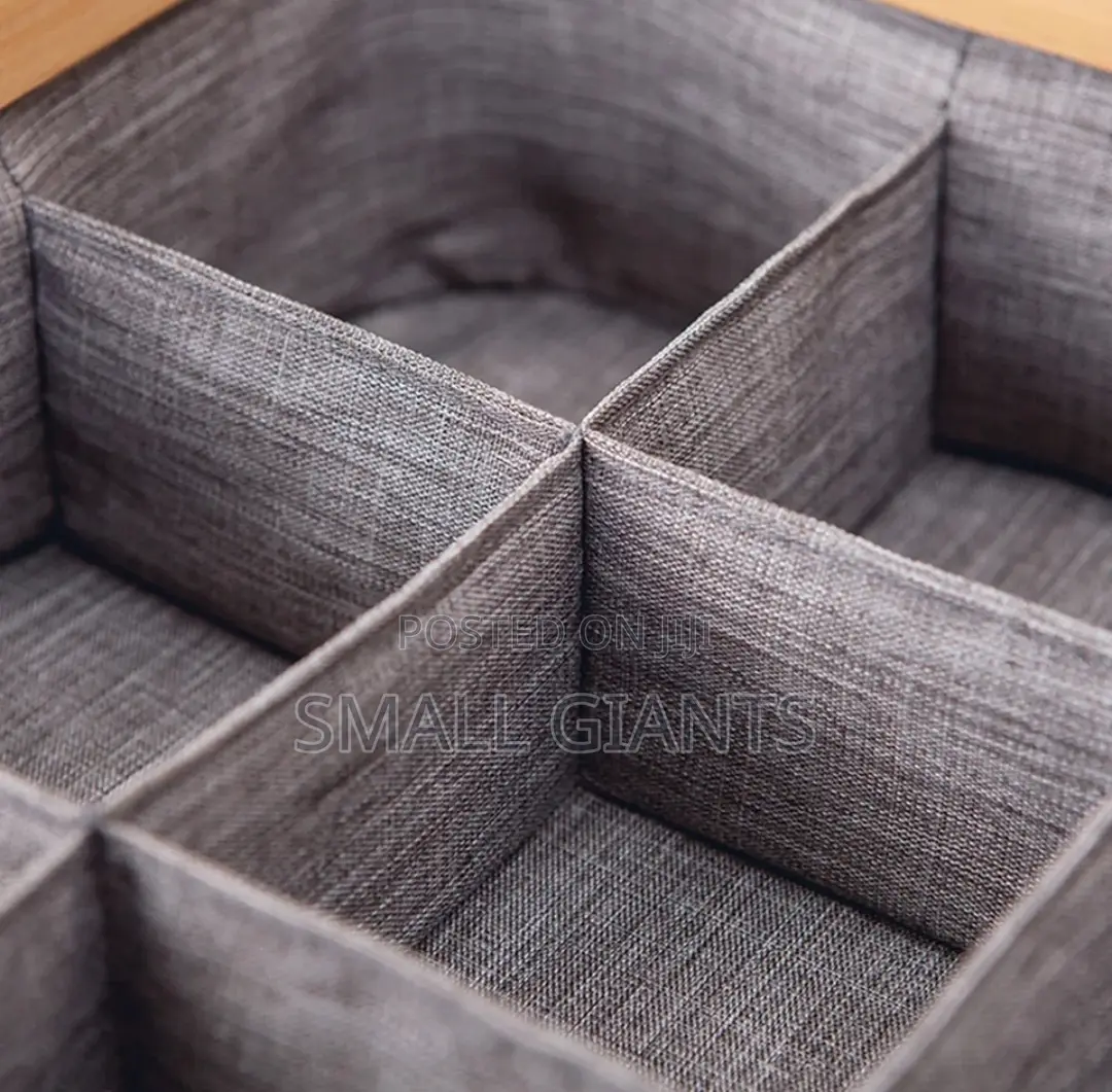 Multi Sized Underwear, Bras, Socks Panties Storage Boxes