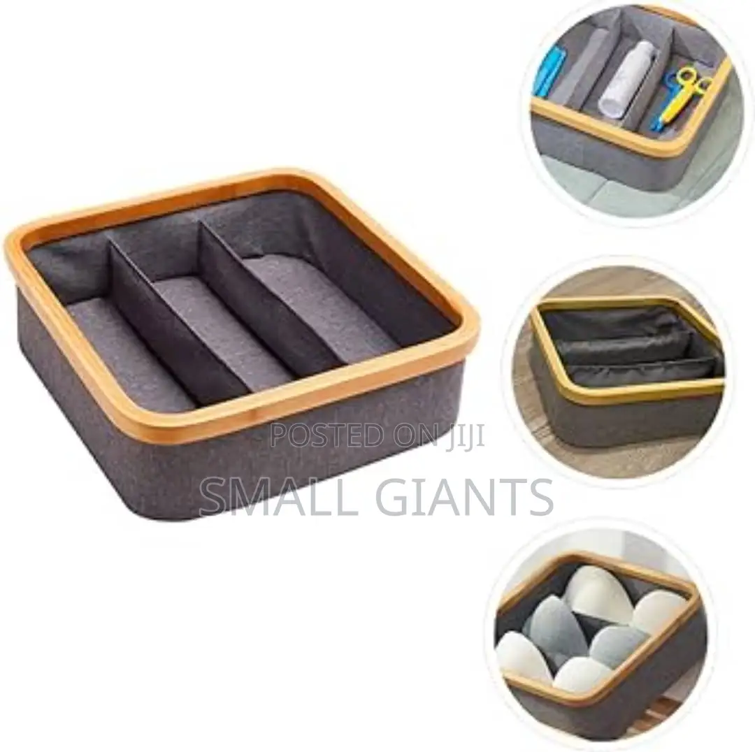 Multi Sized Underwear, Bras, Socks Panties Storage Boxes