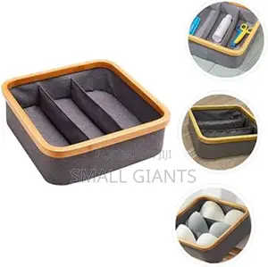 Multi Sized Underwear, Bras, Socks Panties Storage Boxes