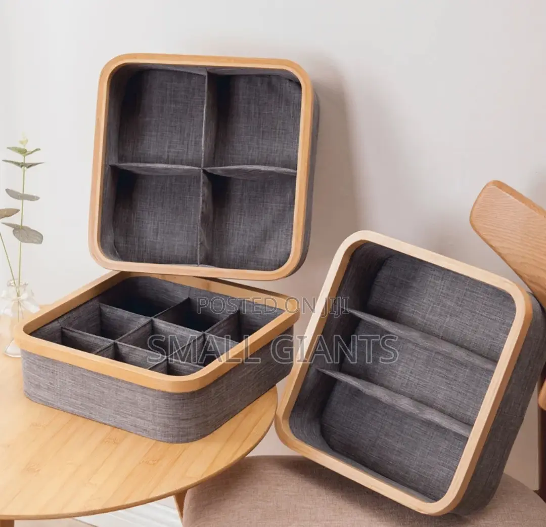 Multi Sized Underwear, Bras, Socks Panties Storage Boxes