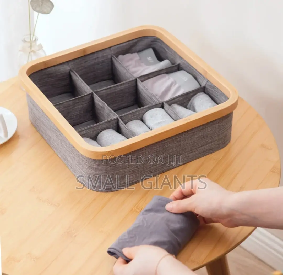 Multi Sized Underwear, Bras, Socks Panties Storage Boxes
