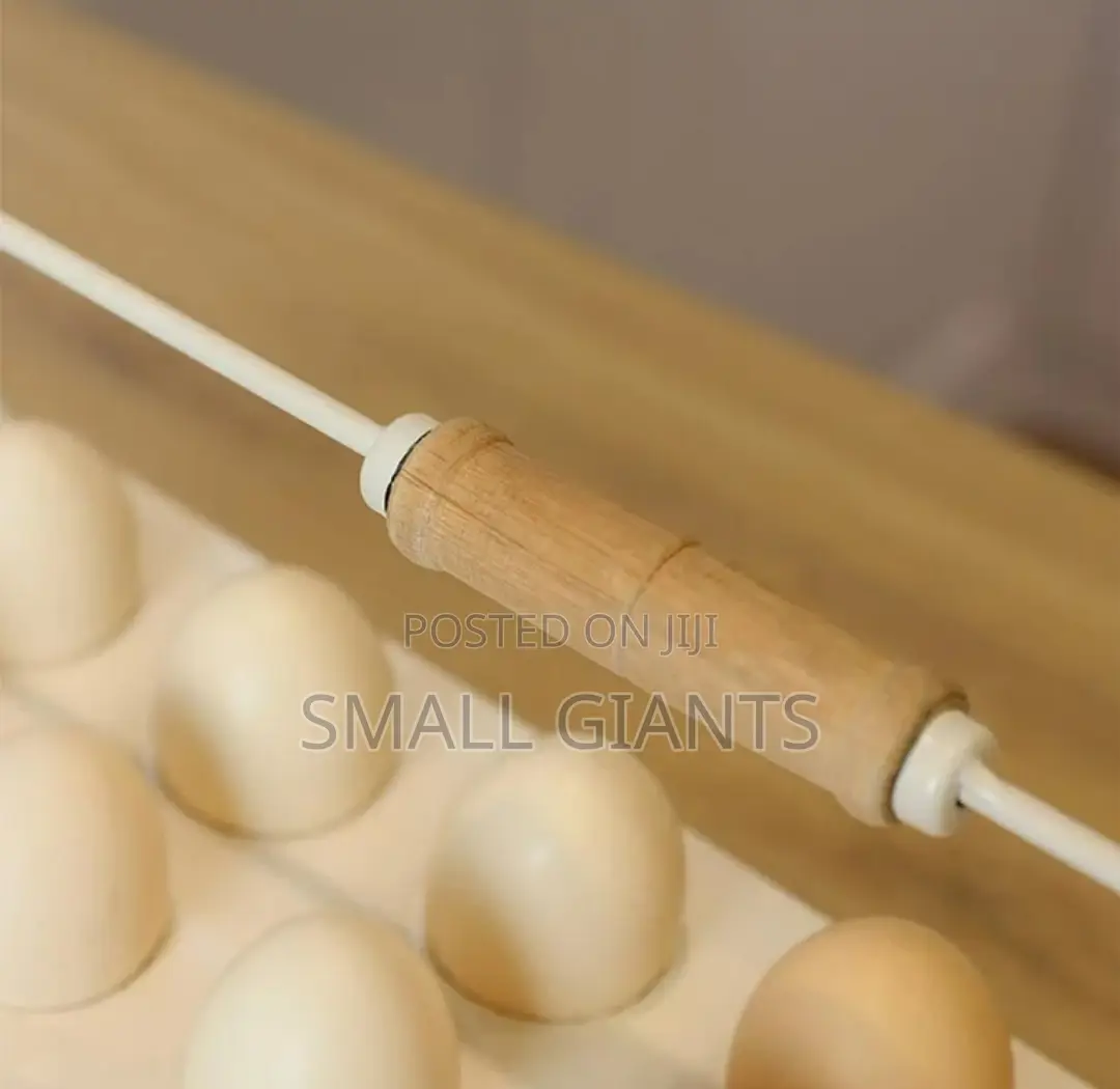 Multi-Slot Egg Tray Holder/ Carrier