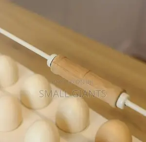 Multi-Slot Egg Tray Holder/ Carrier