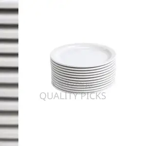 Dinner Plate Set