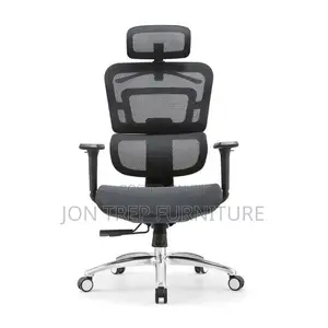 Orgonomic Office Chair Executive
