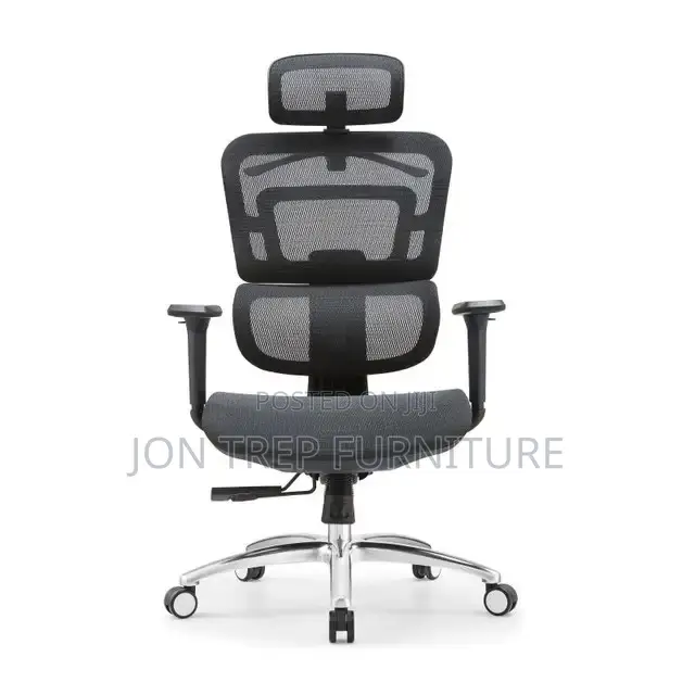 Orgonomic Office Chair Executive