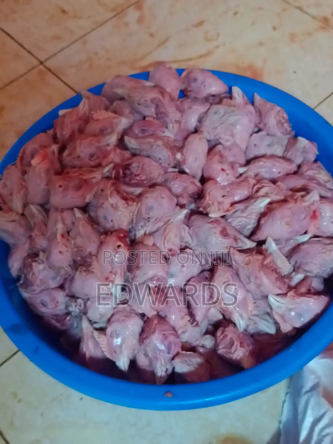 Chicken for Puppies