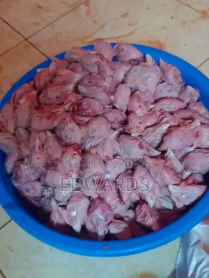 Chicken for Puppies