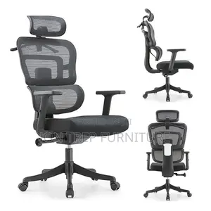 Executive Director Office Chair Mesh