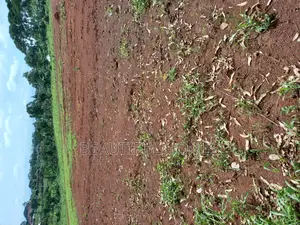 Kira Kitukutwe Plots on Sell