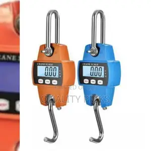 Portable Hanging Scale