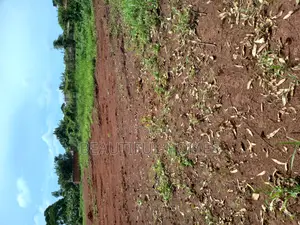 Plots in Kira for Sale