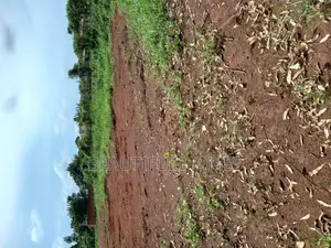 Kira Classy Estate Plots on Sell