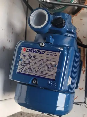 Pedrollo Water Pump 40m Surface Water Pump