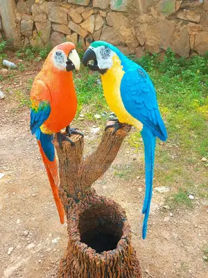 APOX Parrots