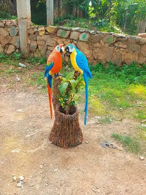 APOX Parrots