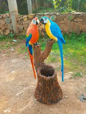 APOX Parrots