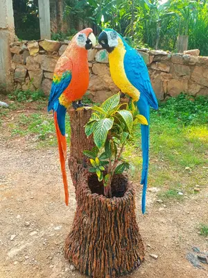APOX Parrots