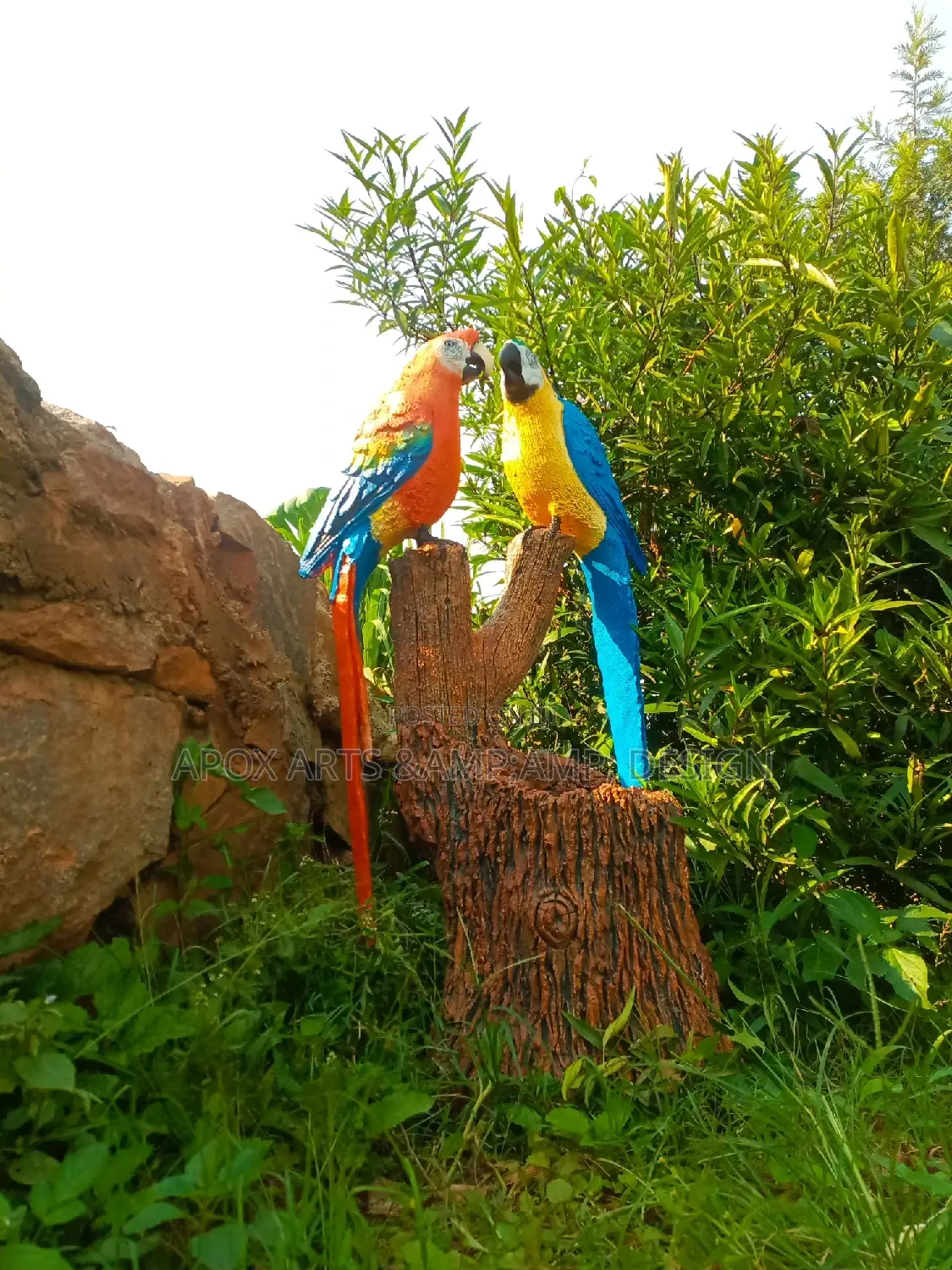 APOX Parrots