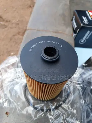 Toureg Oil Filter.