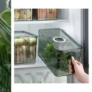 Refrigerator Plastic Storage Rack