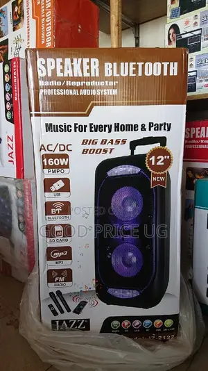 12 Inches JAZZ Amplified Public Speaker