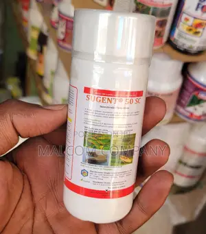 Best Bedbugs All Stage Killer