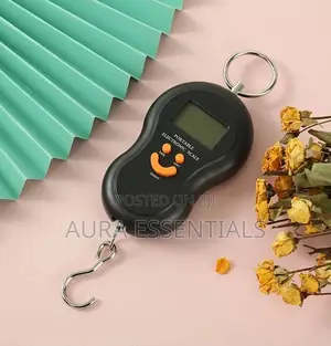 50kg/10g Portable Electronic Digital Travel Scale
