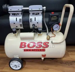 Boss Paint Sprayer (Compressor)