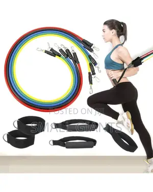 High Quality Exercise Resistance Bands Set