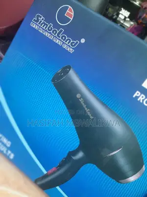 Simbaland Hair Dryer