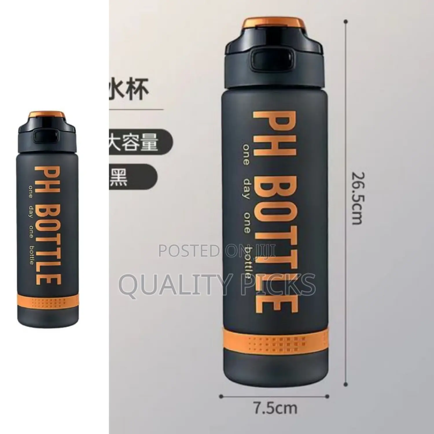 Travel Ph Water Bottle
