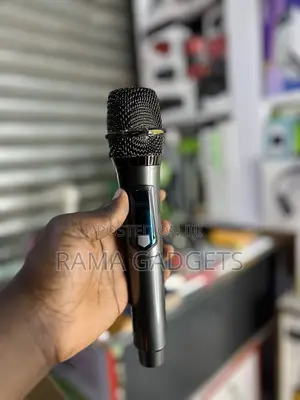 Professional Mic Phone