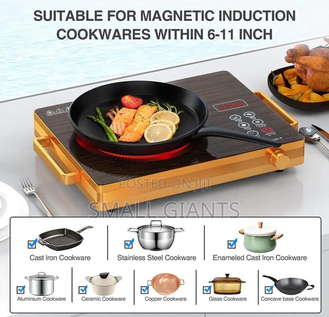 Portable Single Burner Infrared Cooker