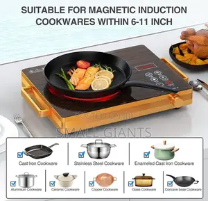 Portable Single Burner Infrared Cooker