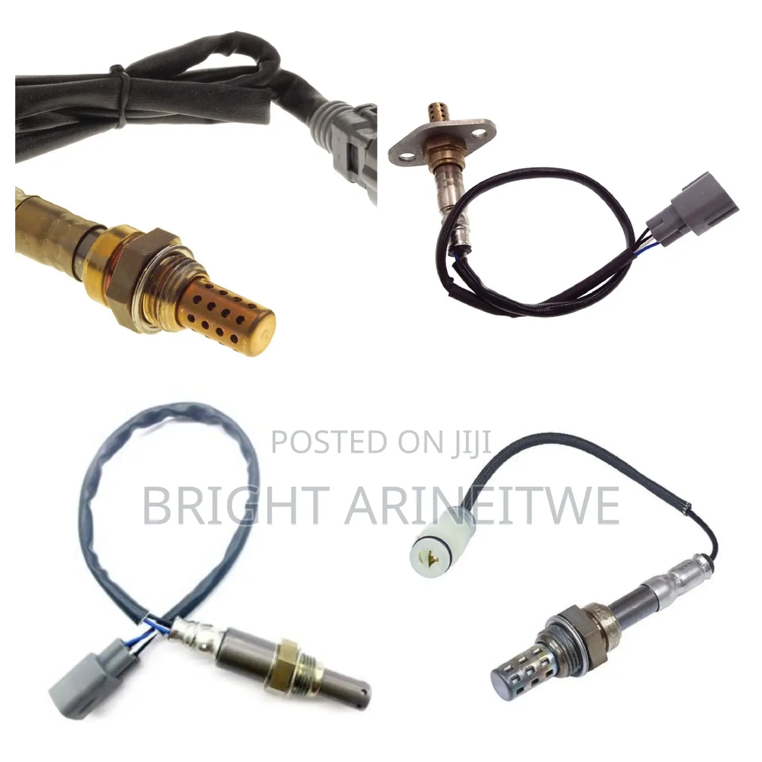 Oxygen Sensors for Kluger