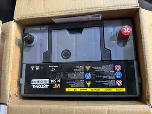 N50 UBL Maintenance Free